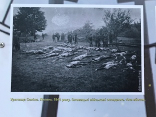 The bodies they found in the mine.